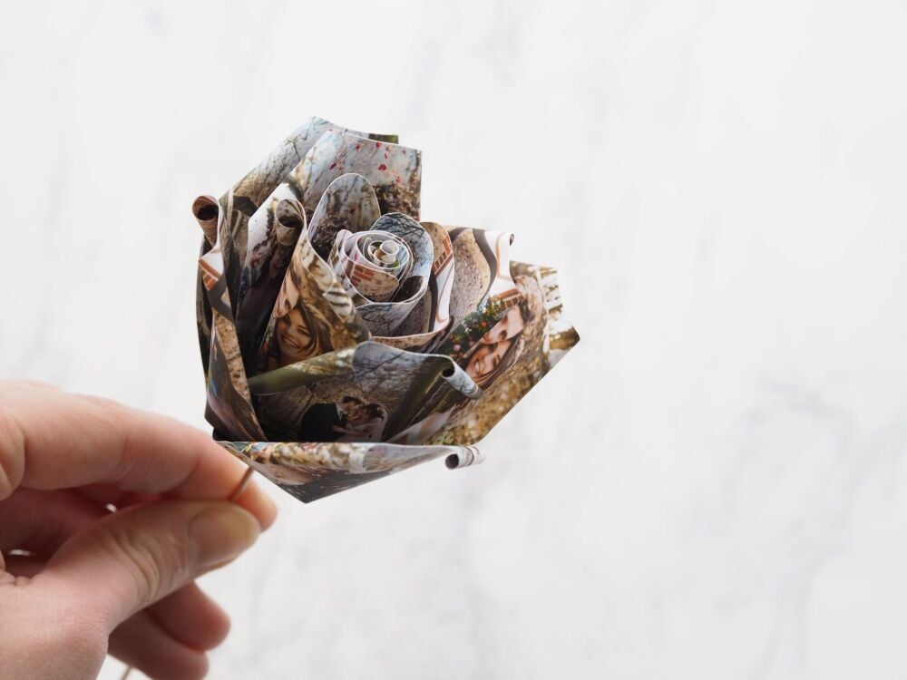 Single Personalised Photograph Paper Rose