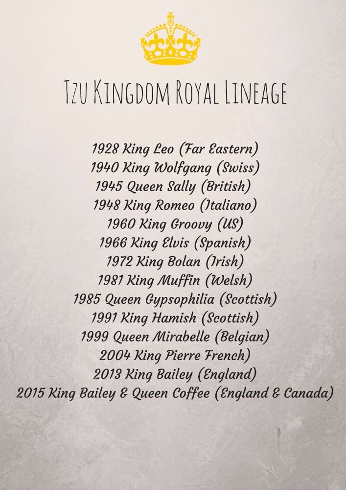 tzu kingdom royal lineage (2)