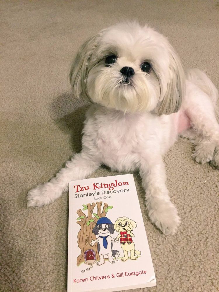 alice with book