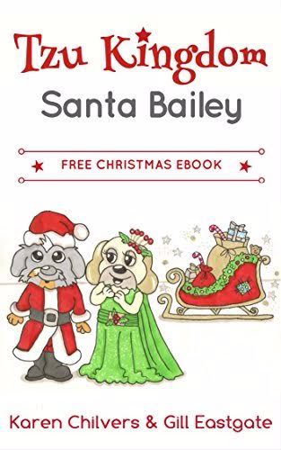 Santa Bailey