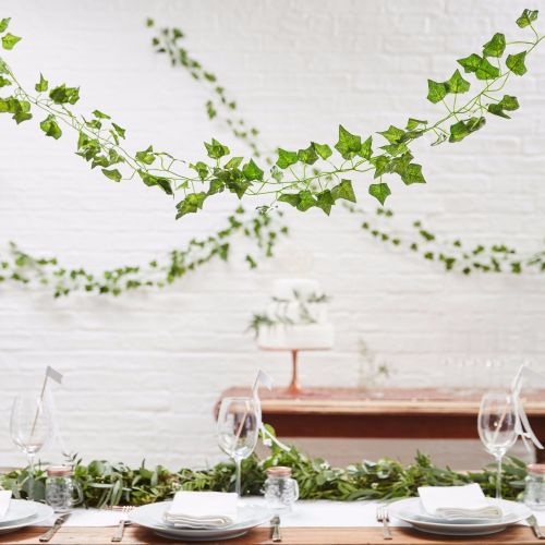 Ginger Ray Decorative Vines - Set of 5