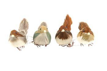 Gisela Graham Natural Feather Bird Pick