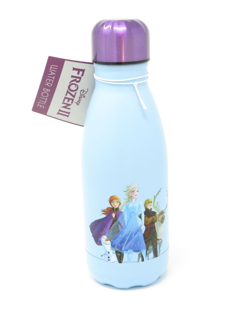 Frozen II Metal Reuseable Water Bottle