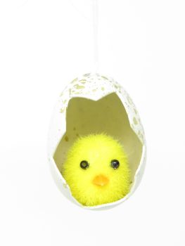 Fuzzy Chick in a Egg Hanging Decoration