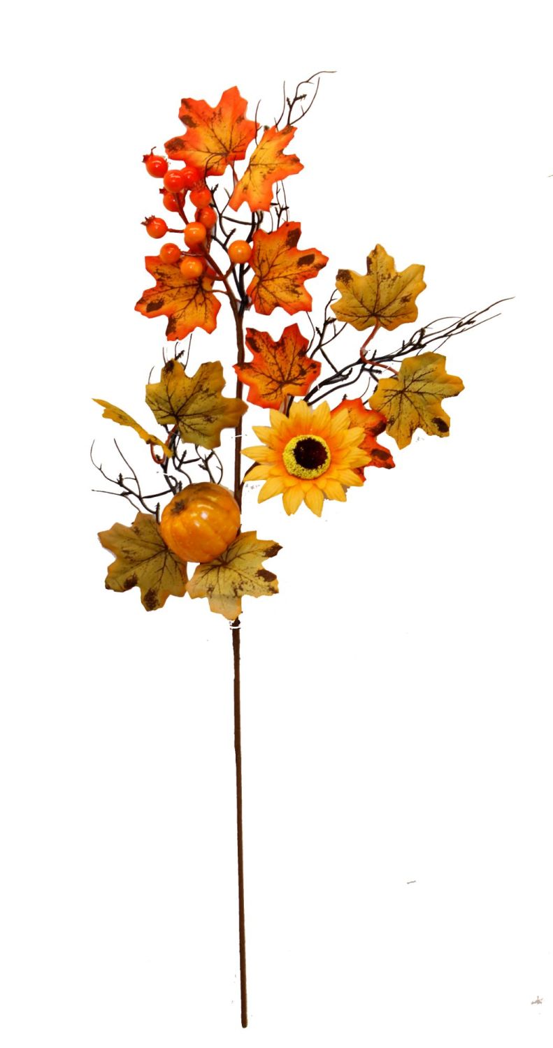 Autumnal Sunflower and Pumpkin Stem