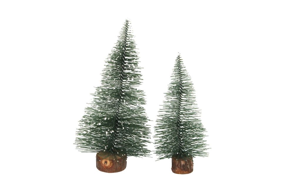 Gisela Graham Frosted Pine Mini Trees - Pack of 2