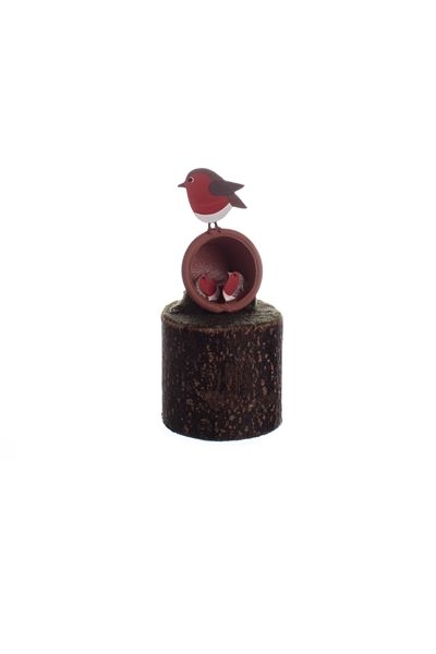 Shoeless Joe Robins Nesting in a Plant Pot Decoration