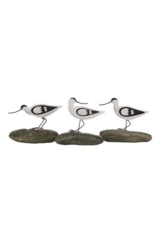 Avocet on a Pebble Decoration