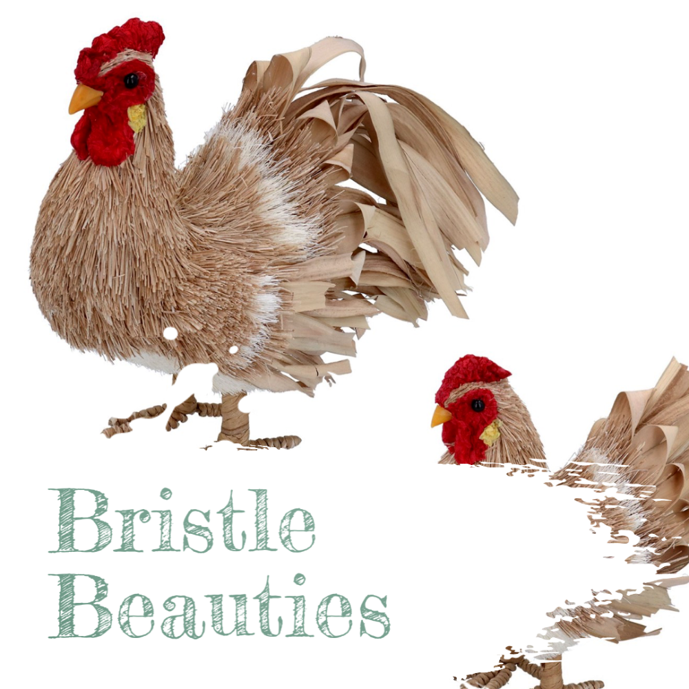 Bristle Beauties