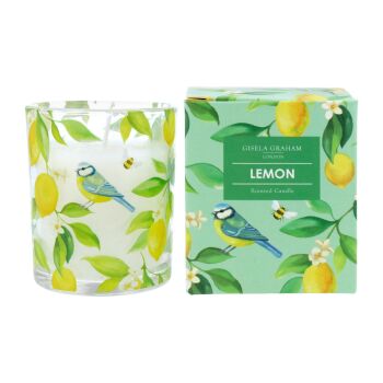 Gisela Graham Lemon and Blue Tit Boxed Candle