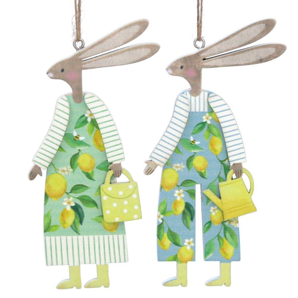 Gisela Graham Lemon Design Boy and Girl Bunny Decorations - Set of 2