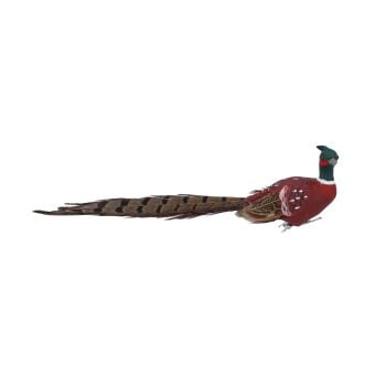 Pheasant Bird Feather Clip
