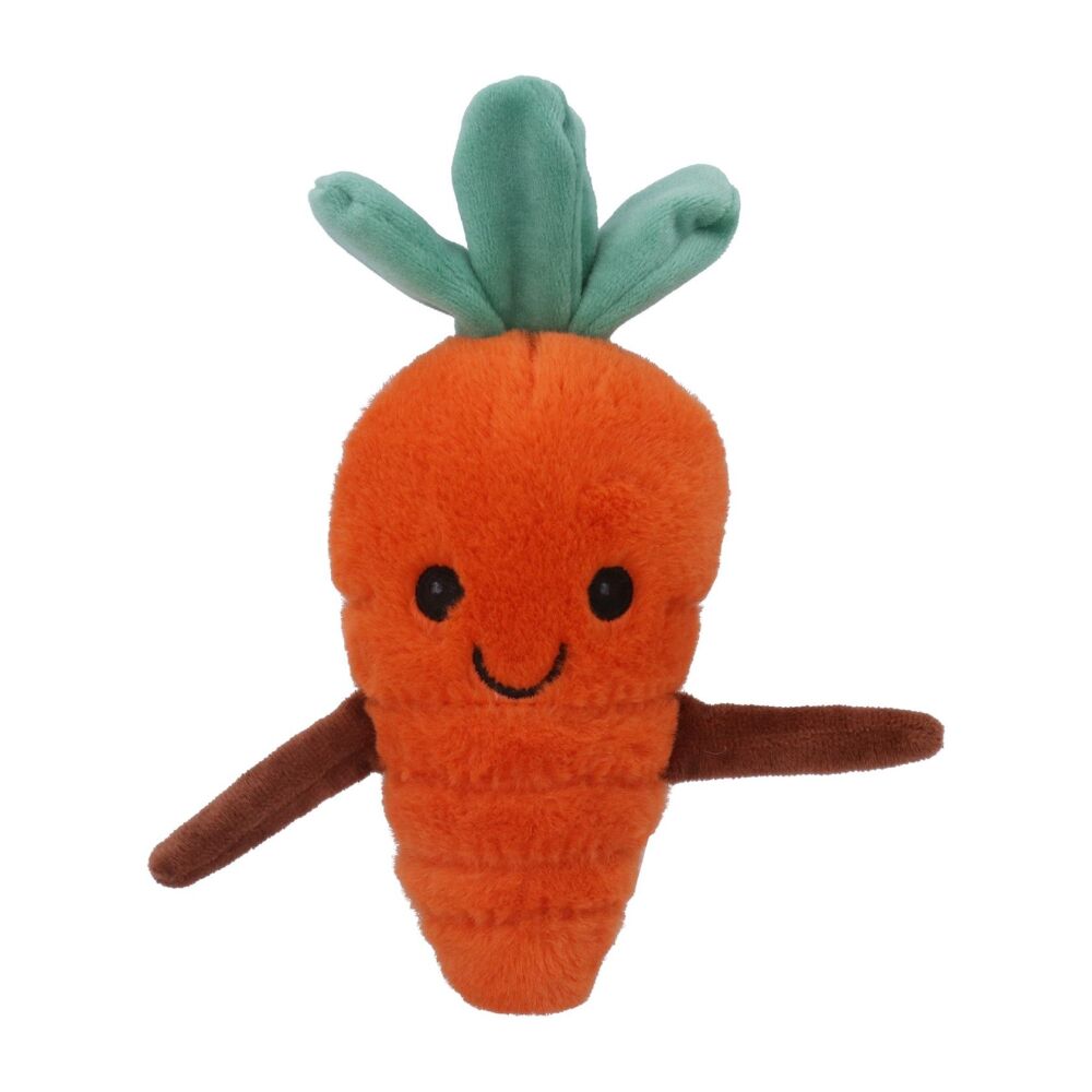 Soft Carrot Toy