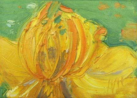 Trollius - Yellow Globeflower - PRINT