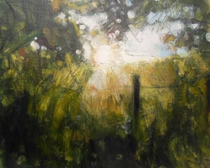 Summer Evening Sun through Fields II - PRINT