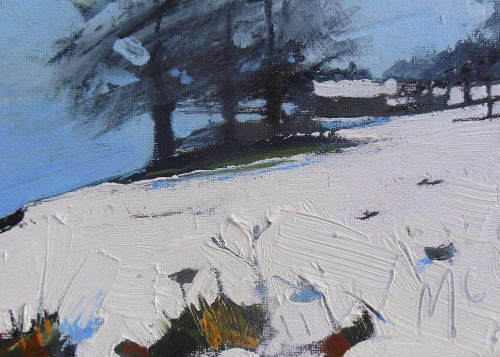 C1.  WINTER SNOW series