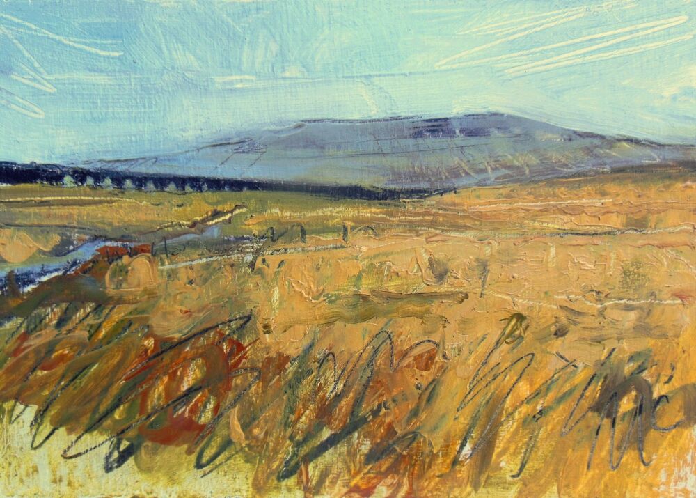 Viaduct and Whernside