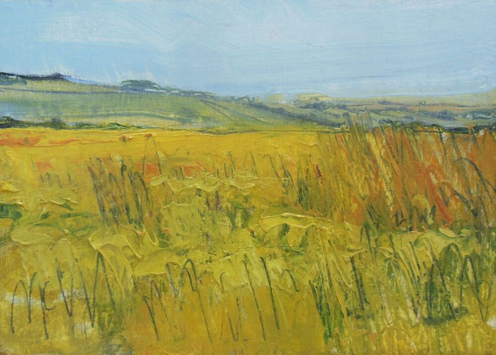 Wild Grass at Ingleborough