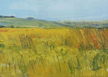 Wild Grass at Ingleborough