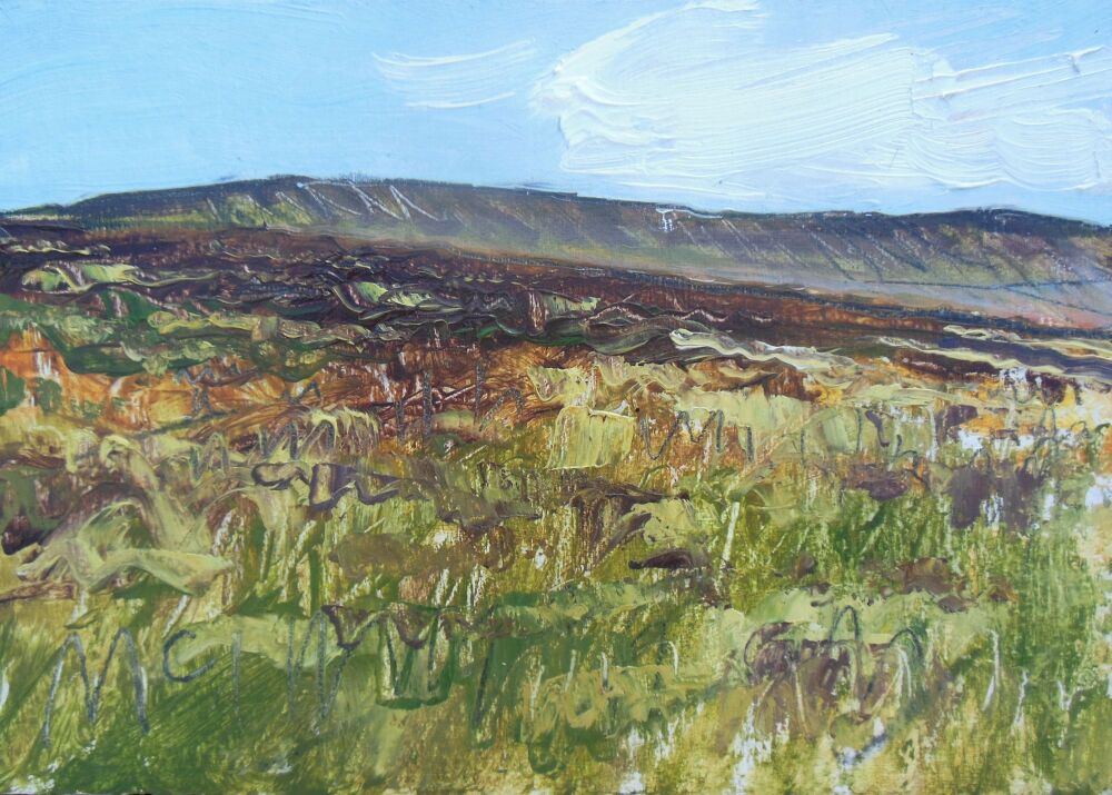Moorland near Pen-y-ghent