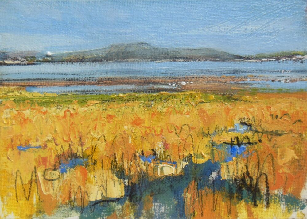 Across the Estuary I