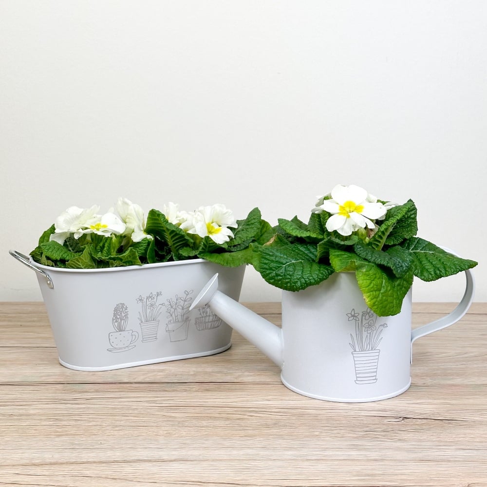 Planter and Watering Can - Light Grey