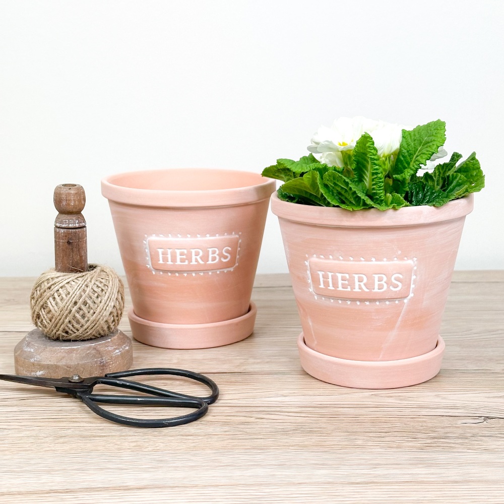Herbs - Terracotta Planter with saucer
