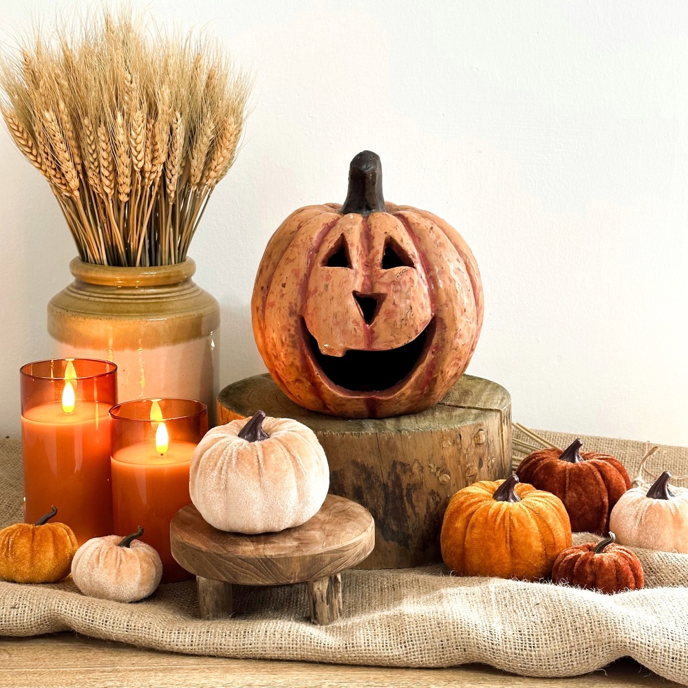 Jack O Lantern - Pumpkin