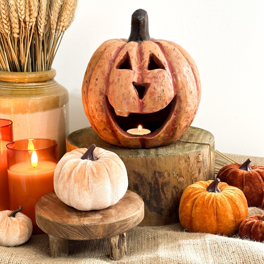 Jack O Lantern - Pumpkin
