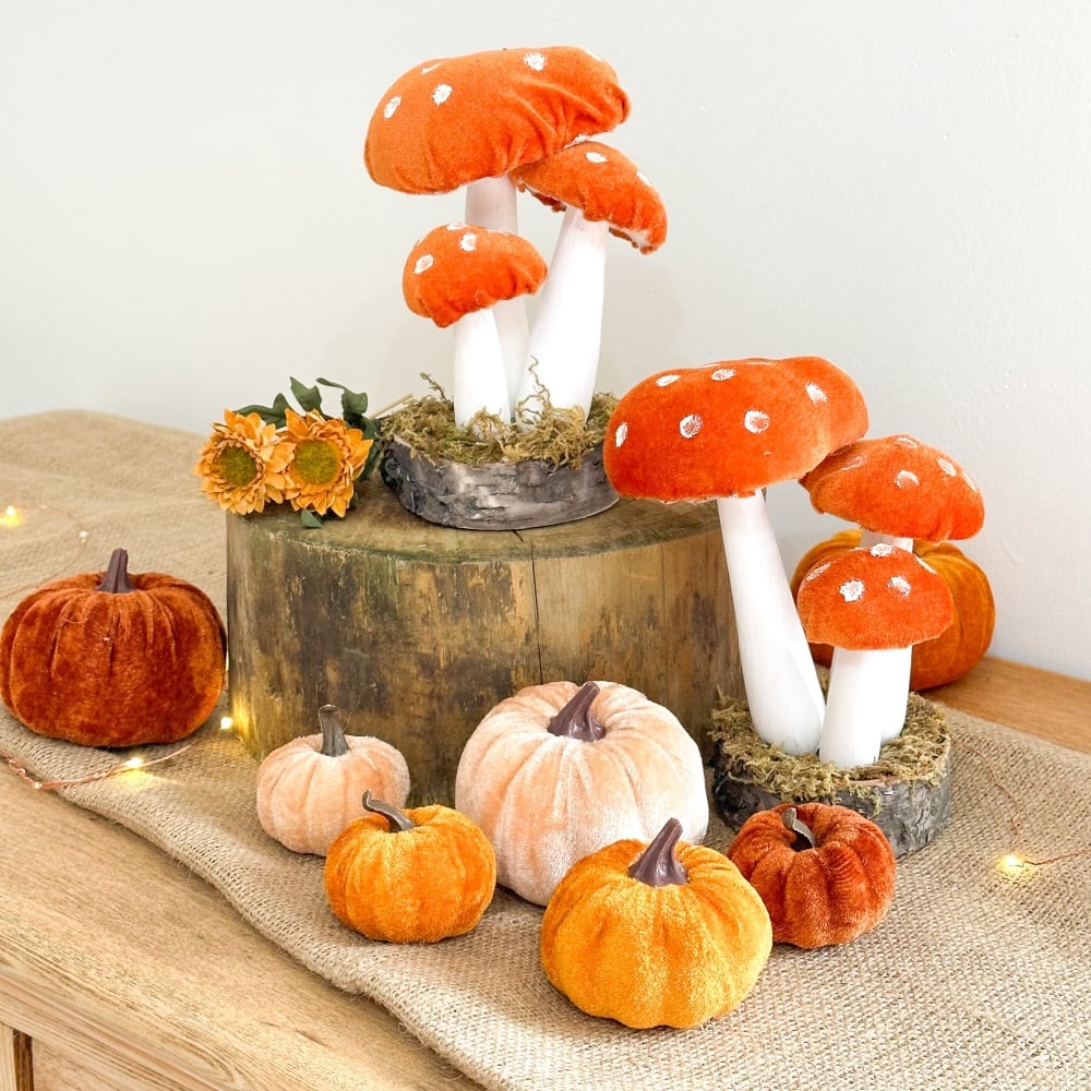 Burnt Orange - Toadstool Display