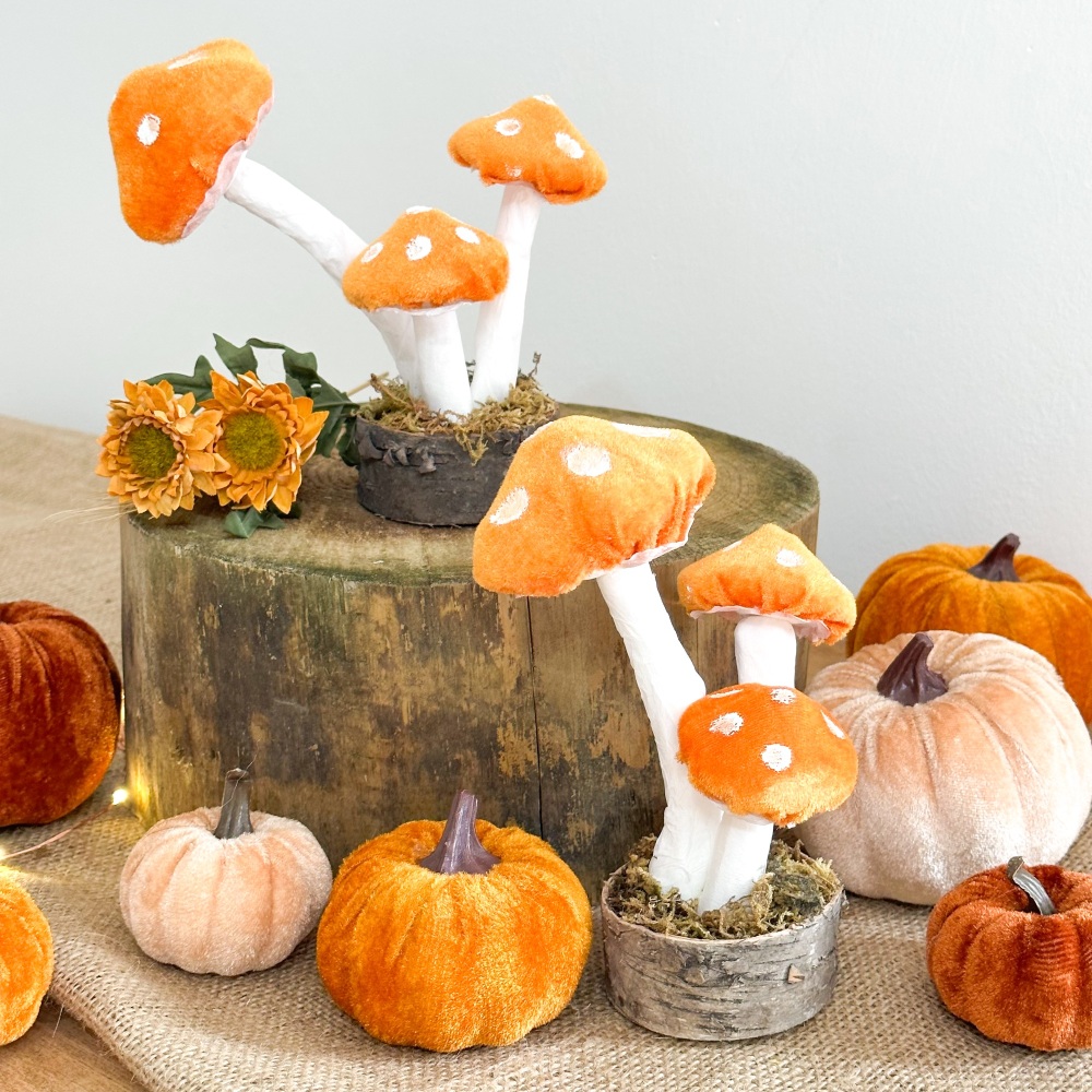 Bright Orange - Toadstool Display