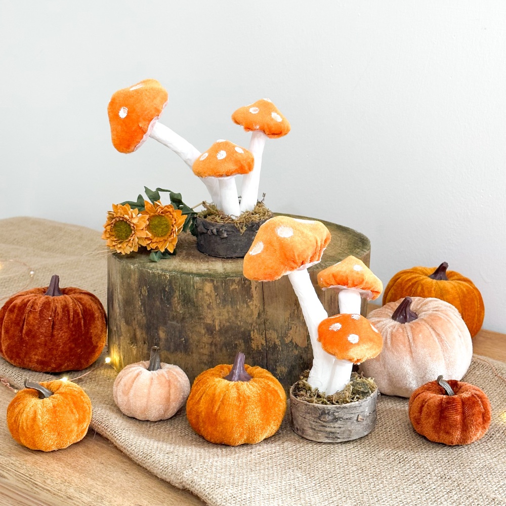 Bright Orange - Toadstool Display