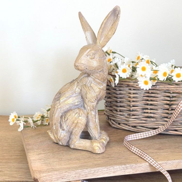 <!--001-->Spring Time Collection