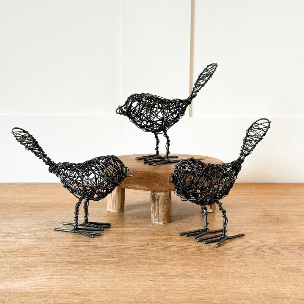 Black Wire Bird