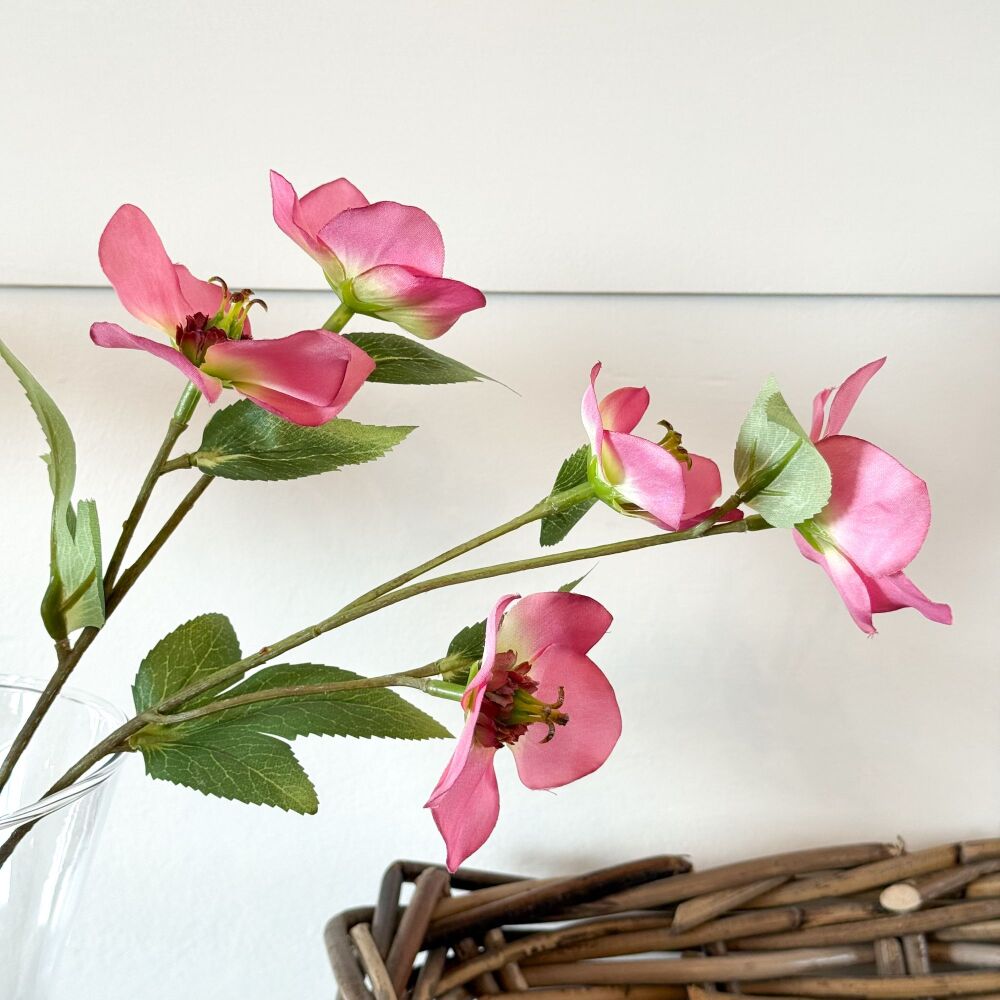 Variegated Hellebore - Faux Stem