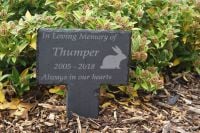 Pet memorial plaque, grave marker, pet headstone, in loving memory