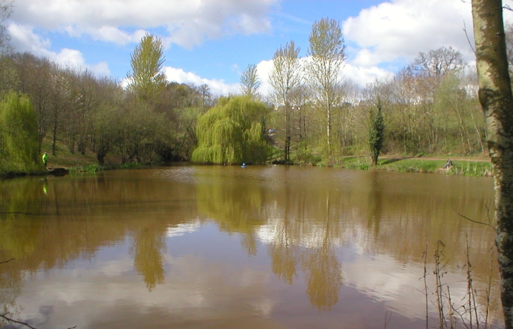 Trefaldu Course Fishery, near Monmouth