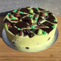 Mint Madness solid fudge cake