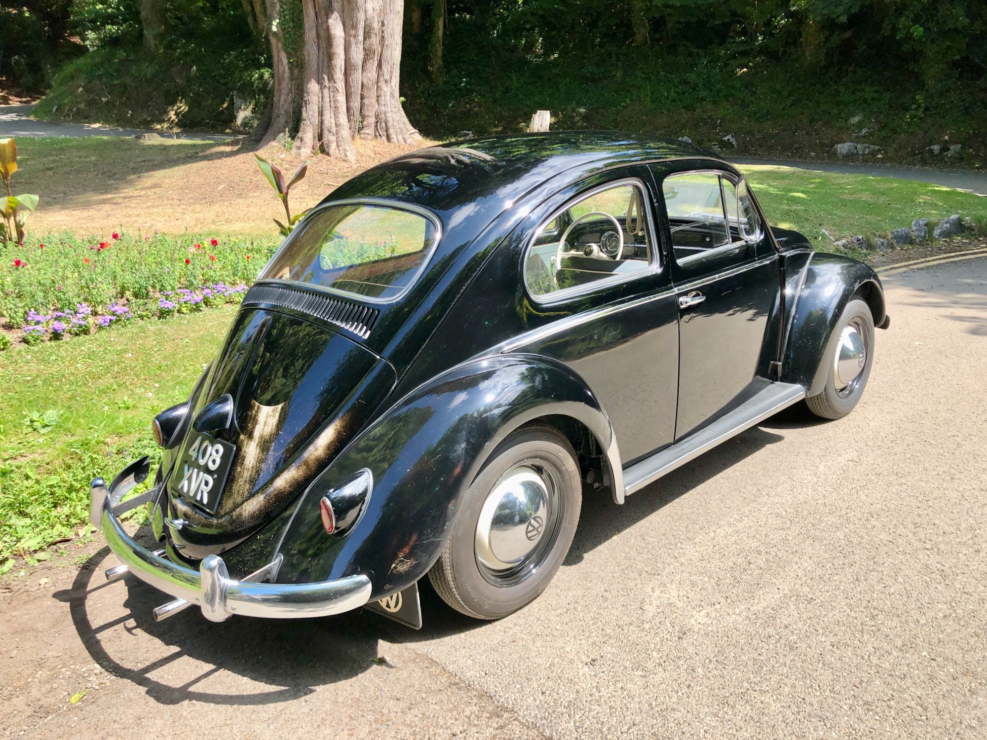 '59 Beetle. Original survivor.