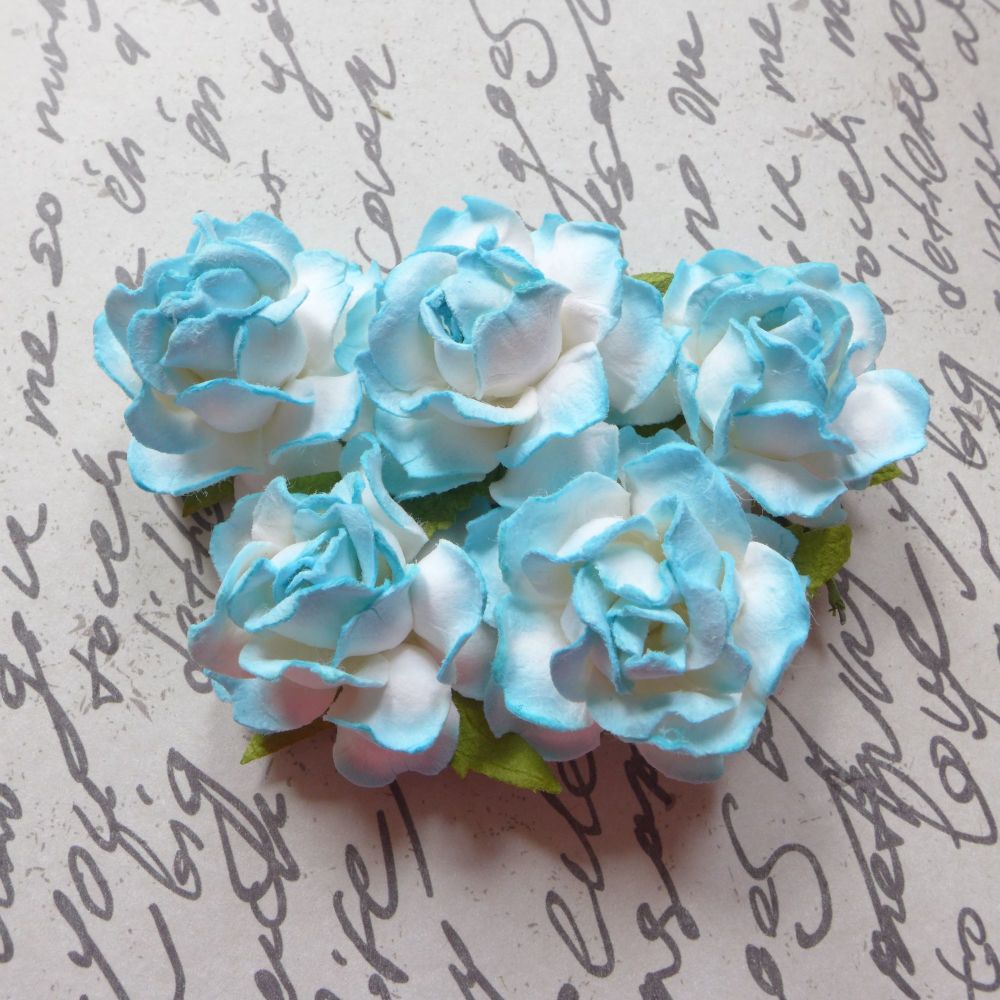 Closed Mulberry Roses ~ White/Aqua Blue (PF044)