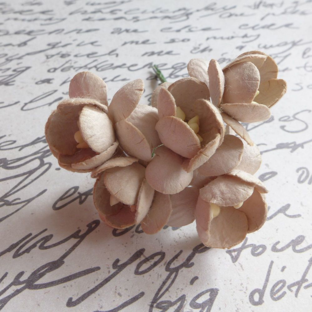 Cherry Blossom Mulberry Paper Flowers ~ Taupe (PF053)