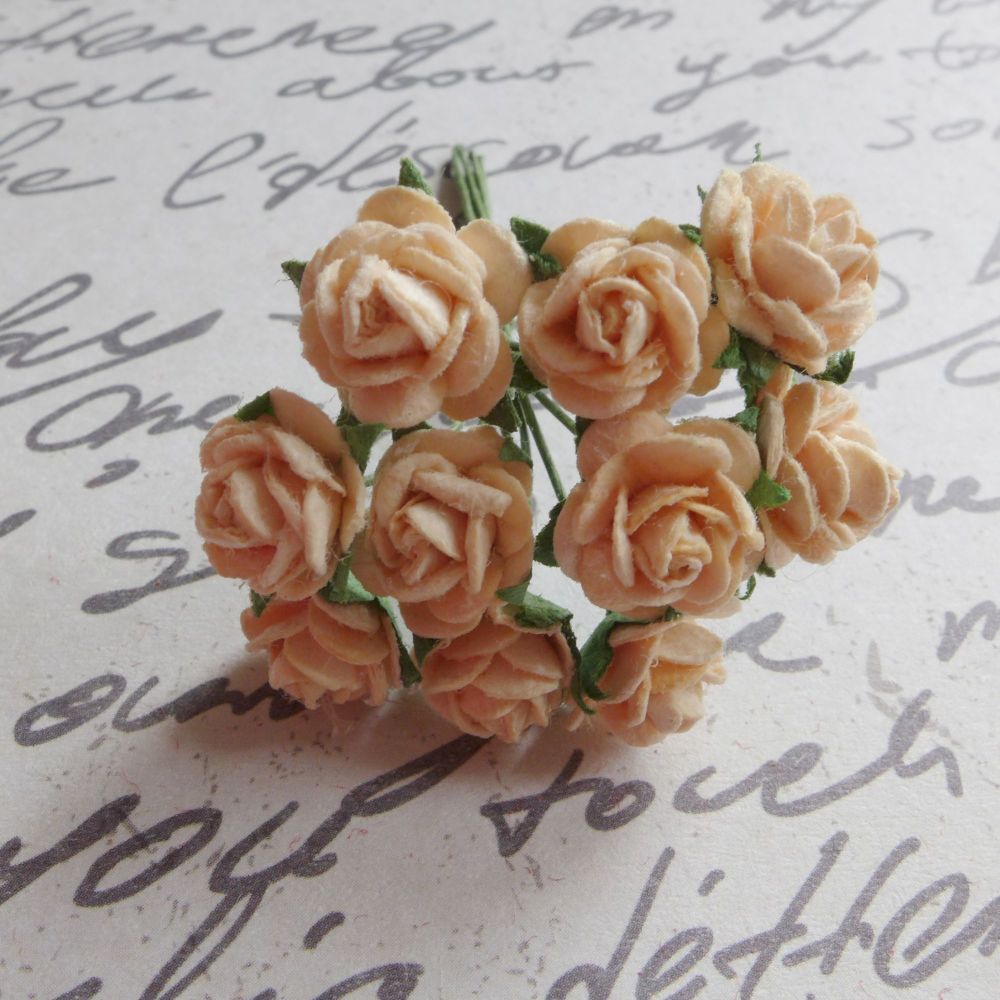 Tiny Rose Flowers ~ Pale Peach (PF003) 
