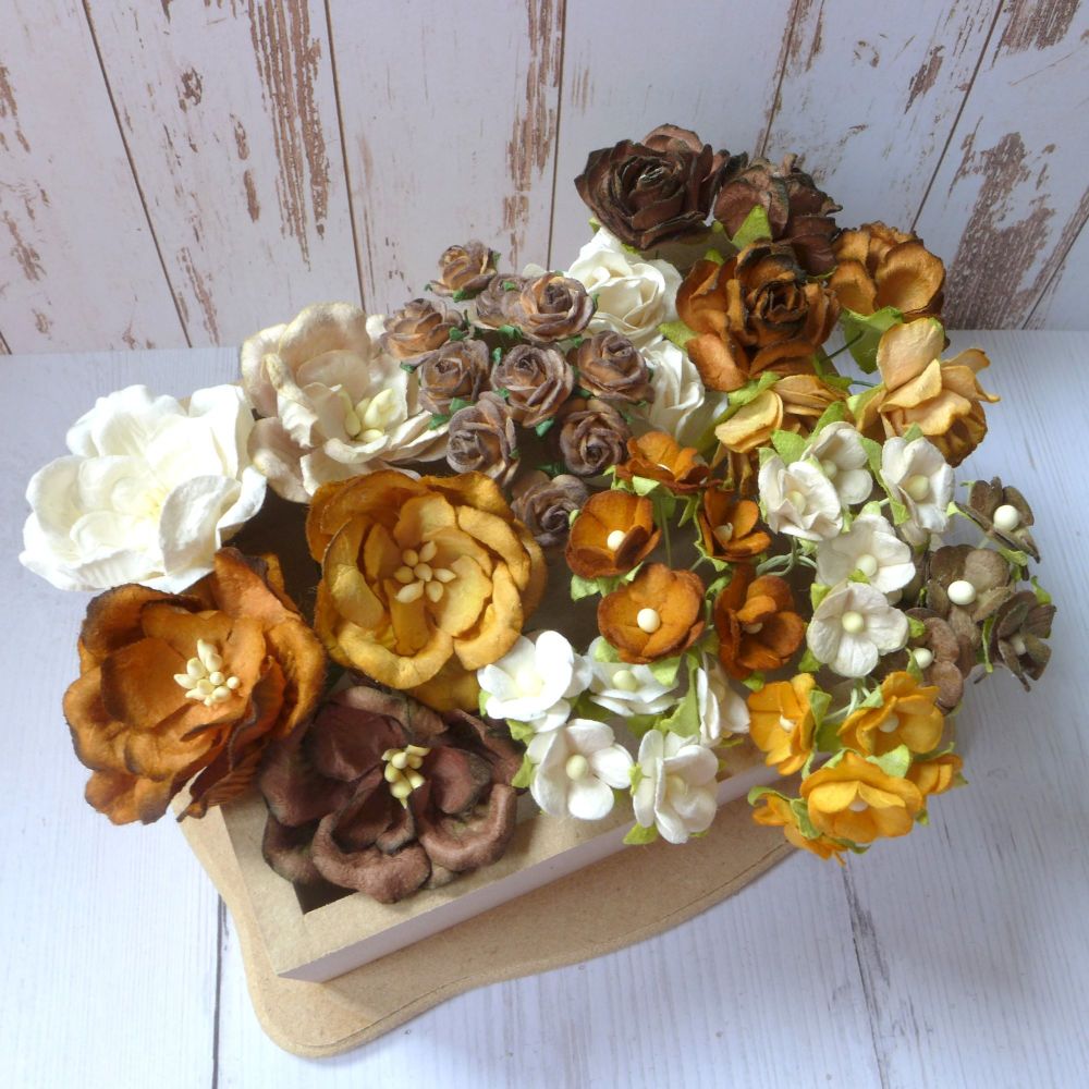 Artful Days Boxed Flowers - Colour Blend Browns 
