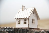 House - Micro Hut (5619)