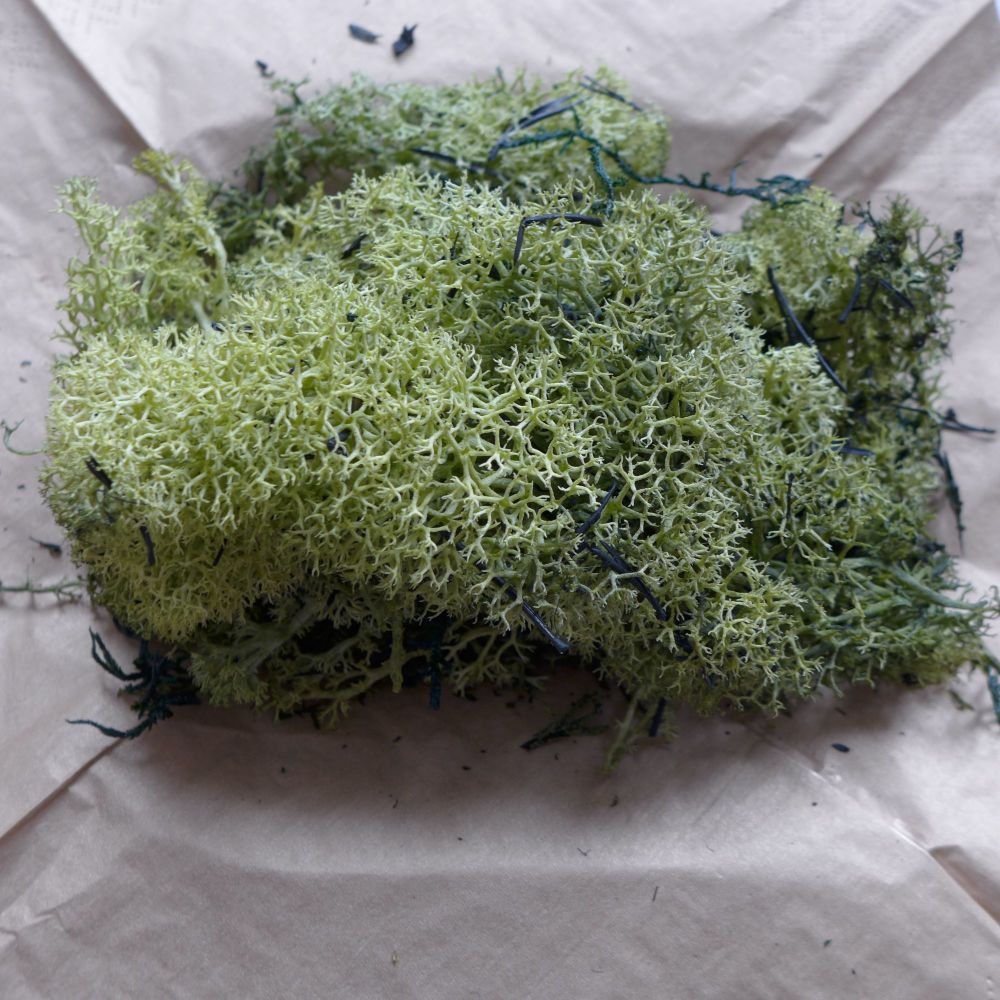 Natural Finland Moss - Olive Green 40g