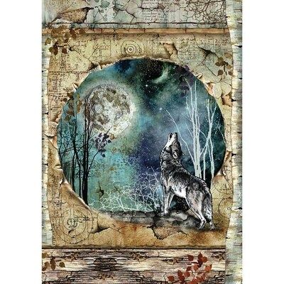 cosmos stamperia rice wolf a4 moon paper