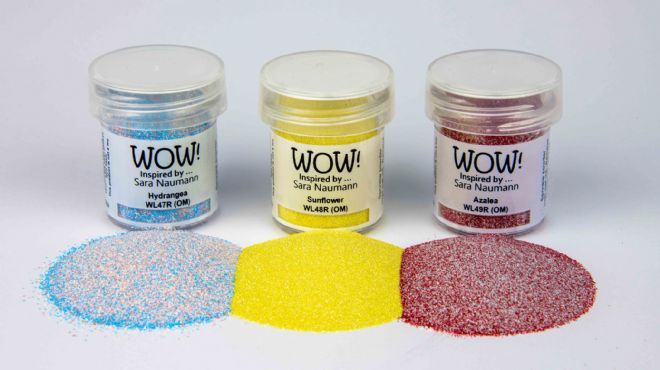 Winter 2020 Release WOW! Trio Parc Floral *Sara Naumann Exclusive*