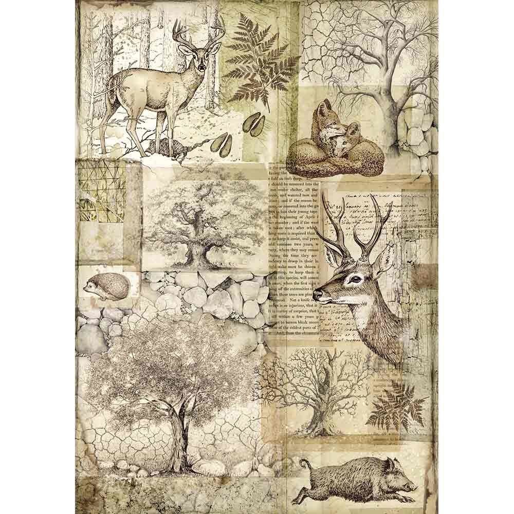 Stamperia Forest Rice Paper A4 Deer and Wild Boar (DFSA4426)