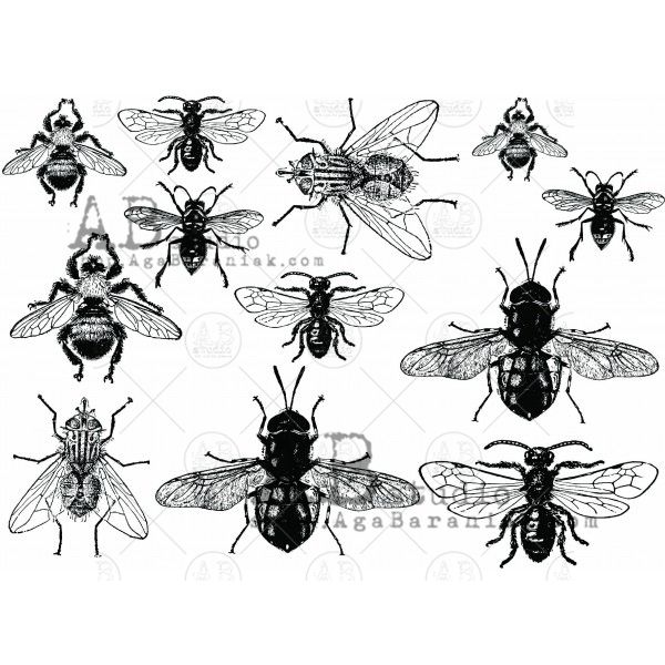 Chipboard Element Set ID-224 Insects