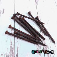 Real Rusty Artful Nails 10pcs(E5001)